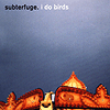 Subterfuge – I Do Birds