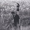 Jesu / Sun Kil Moon – Jesu / Sun Kil Moon