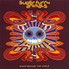 Super Furry Animals – Rings Around The World