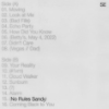 Sylvan Esso – No Rules Sandy
