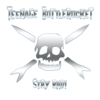 Teenage Bottlerocket – Stay Rad!