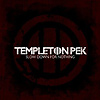 Templeton Pek – Slow Down For Nothing