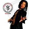 Terence Trent D'Arby / Sananda Maitreya - Wildcard