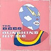 The Bees – Sunshine Hit Me