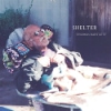 Thomas Bartlett – Shelter