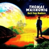 Thomas Wasskönig - Back From Nowhere