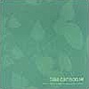 Tias Carlson - What I Have Gathered From Coincidence