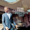 Tom Gaebel – Perfect Day