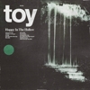 Toy – Happy In The Hollow