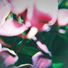 Trade Wind – You Make Everything Disappear