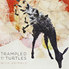 Trampled By Turtles - Wild Animals