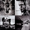 Travis – 12 Memories