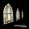 Trembling Blue Stars - The Last Holy Writer