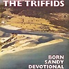 The Triffids - Born Sandy Devotional