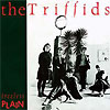The Triffids – Black Swan / Treeless Plain / Beautiful Waste And Other Songs