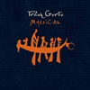 Trilok Gurtu – Massical