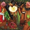 Tropical Popsicle – Dawn Of Delight