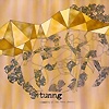Tunng – Comments Of The Inner Chorus
