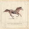 Turnpike Troubadours – A Long Way From The Heart