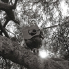 Ty Segall – Hello, Hi