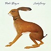 Vashti Bunyan - Lookaftering