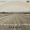Vincent Gallo - When
