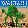 Waltari – Rare Species