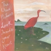 The Wave Pictures – Look Inside Your Heart