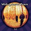 Widespread Panic – Ball