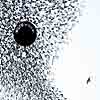 Wilco – Sky Blue Sky