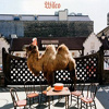 Wilco – Wilco (The Album)