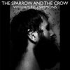 William Fitzsimmons – The Sparrow And The Crow