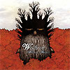 Wolftron – Flesh & Fears