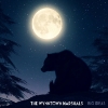 Wynntown Marshalls – Big Ideas