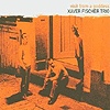 Xaver Fischer Trio - Visit From A Goddess