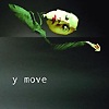 Y Move – Y Move