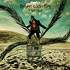 Yossi Sassi – Desert Butterflies