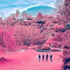 The Zolas – Swooner