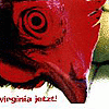 Virginia Jetzt! – Deine Welt