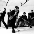 Dropkick Murphys – Saufen mit Niveau