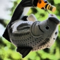 Orange Blossom Special 18 – 2. Teil – 07.06.2014 – Beverungen, Glitterhouse-Garten