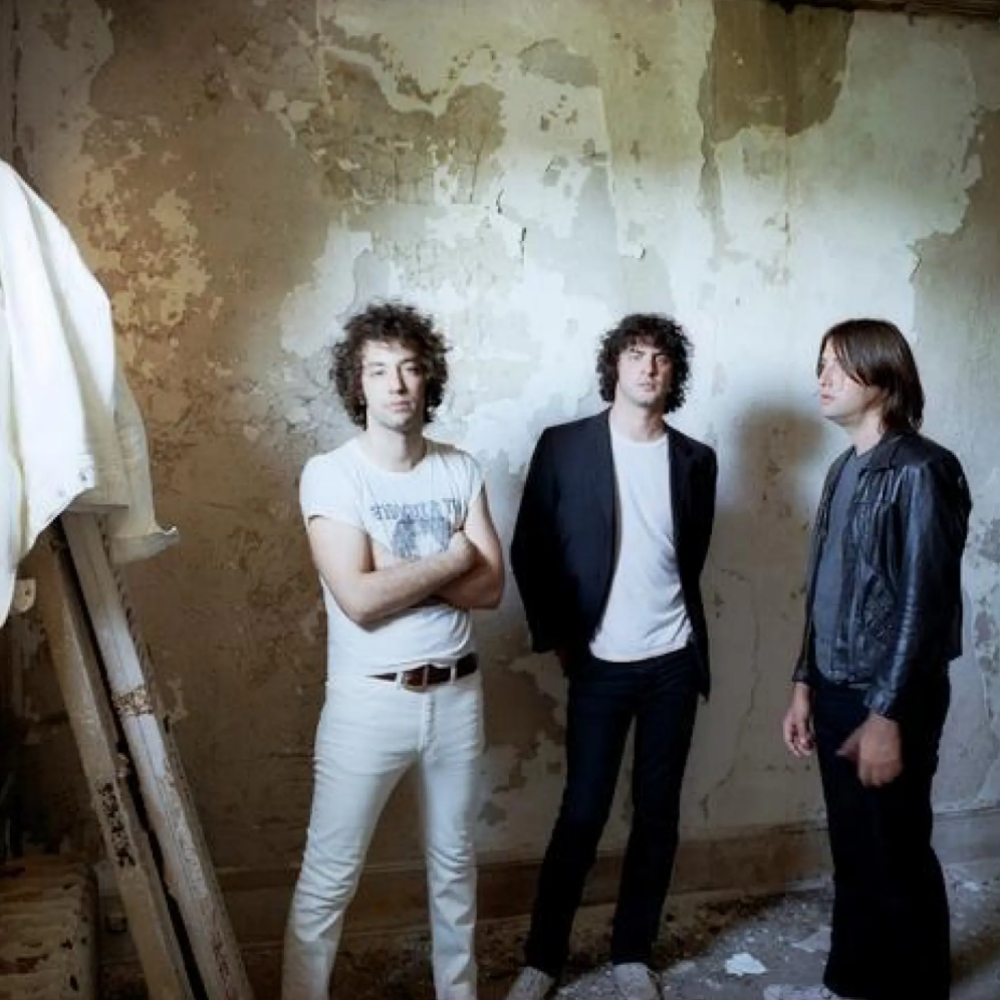 Albert Hammond, Jr. – Der Star von nebenan