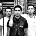 I Am The Avalanche & The Xcerts – Doppelt ist Punkrock