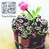 Jim Wayne Swingtett – Time & Efforts