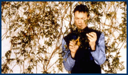 William Orbit – Im Bett mit Madonna