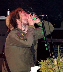 Soulfly