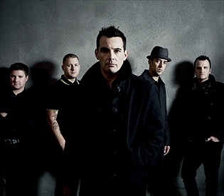 10+10 mit: Street Dogs