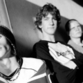 The Music – Bäumeklettern