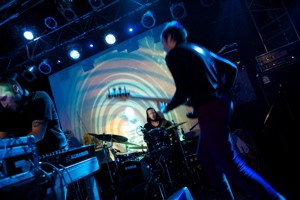 Ulver