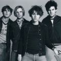 The Vines – Die Rückkehr der Gewinner